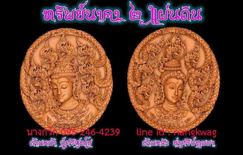 NKNR1706006