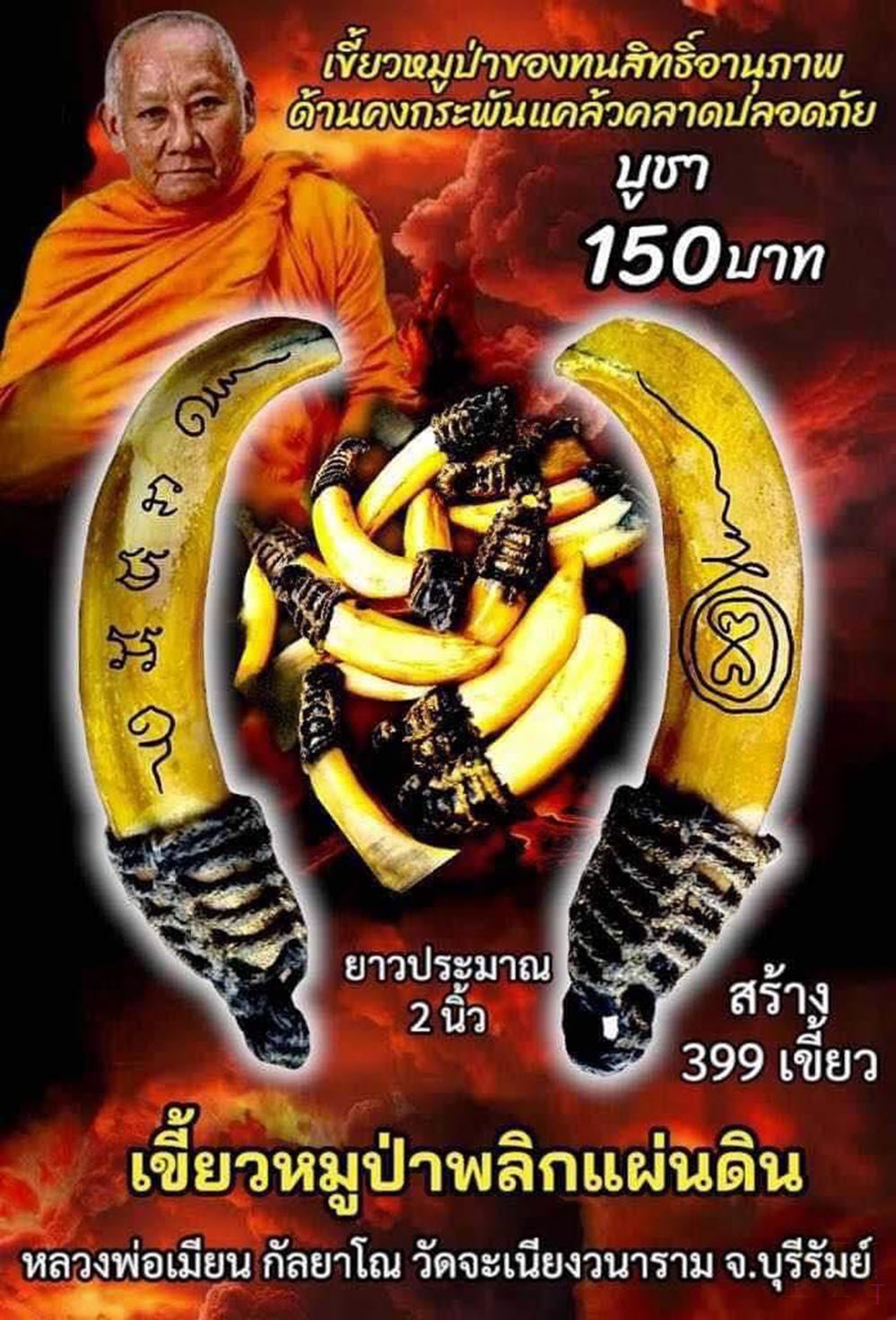 NKNR2411039