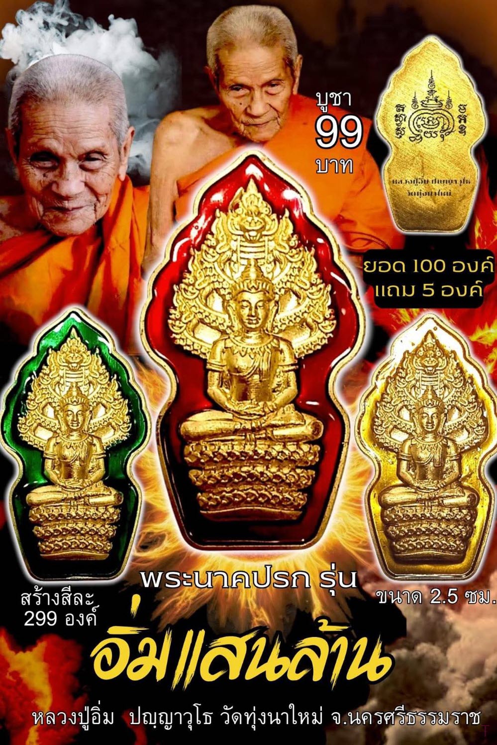 NKNR2504013