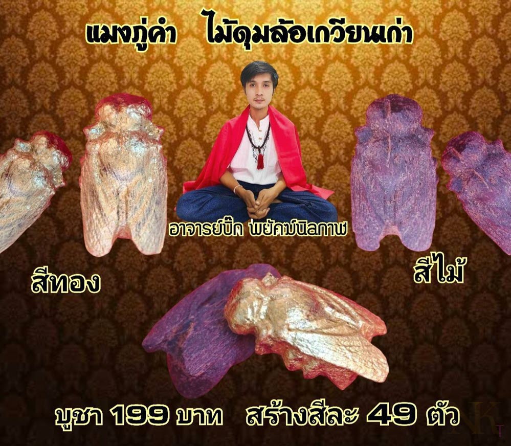 NKNR2504043