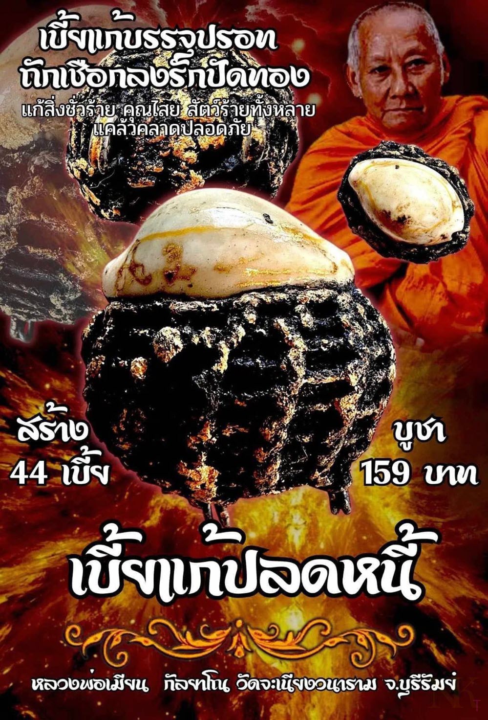 NKNR2501036