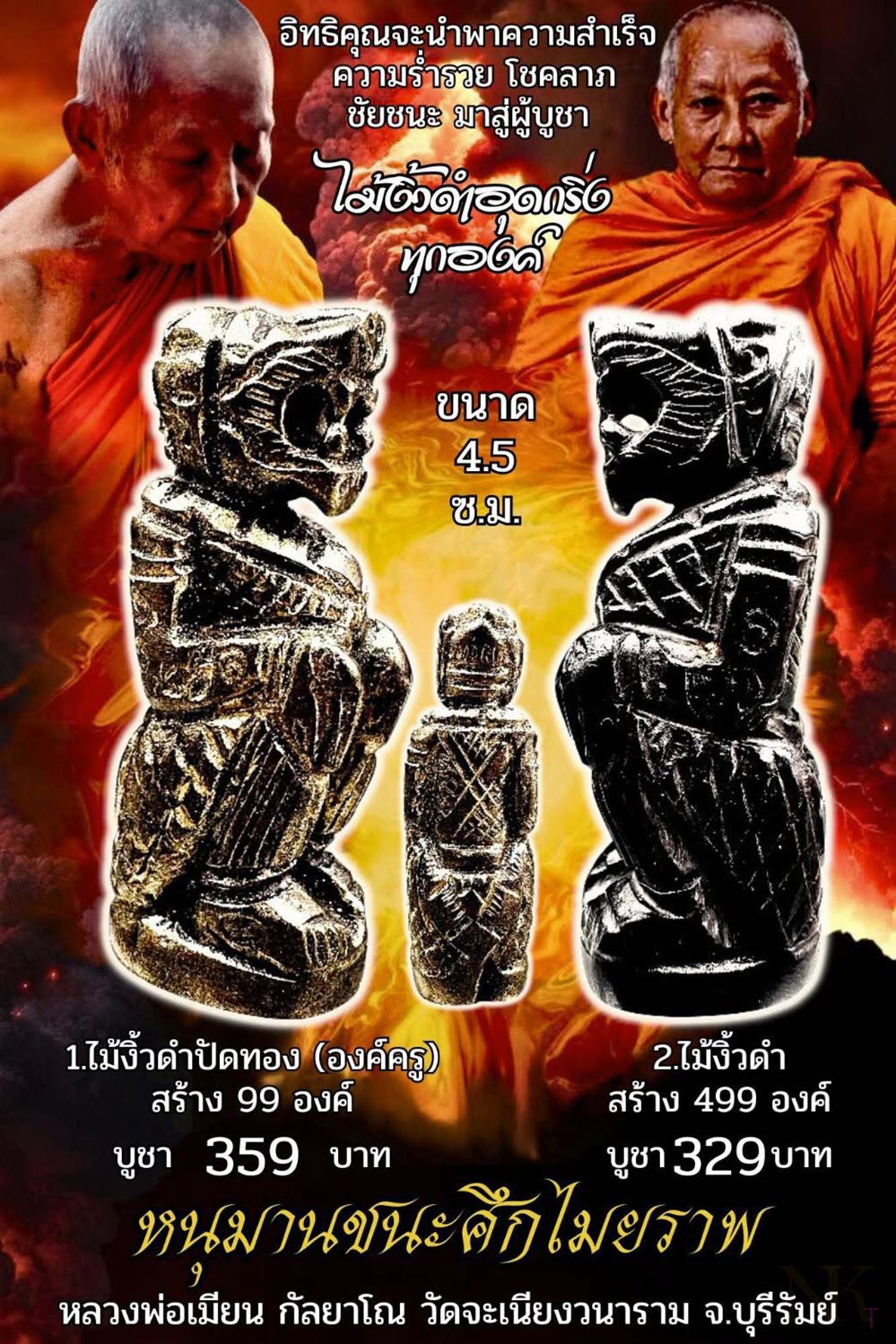NKNR2503047