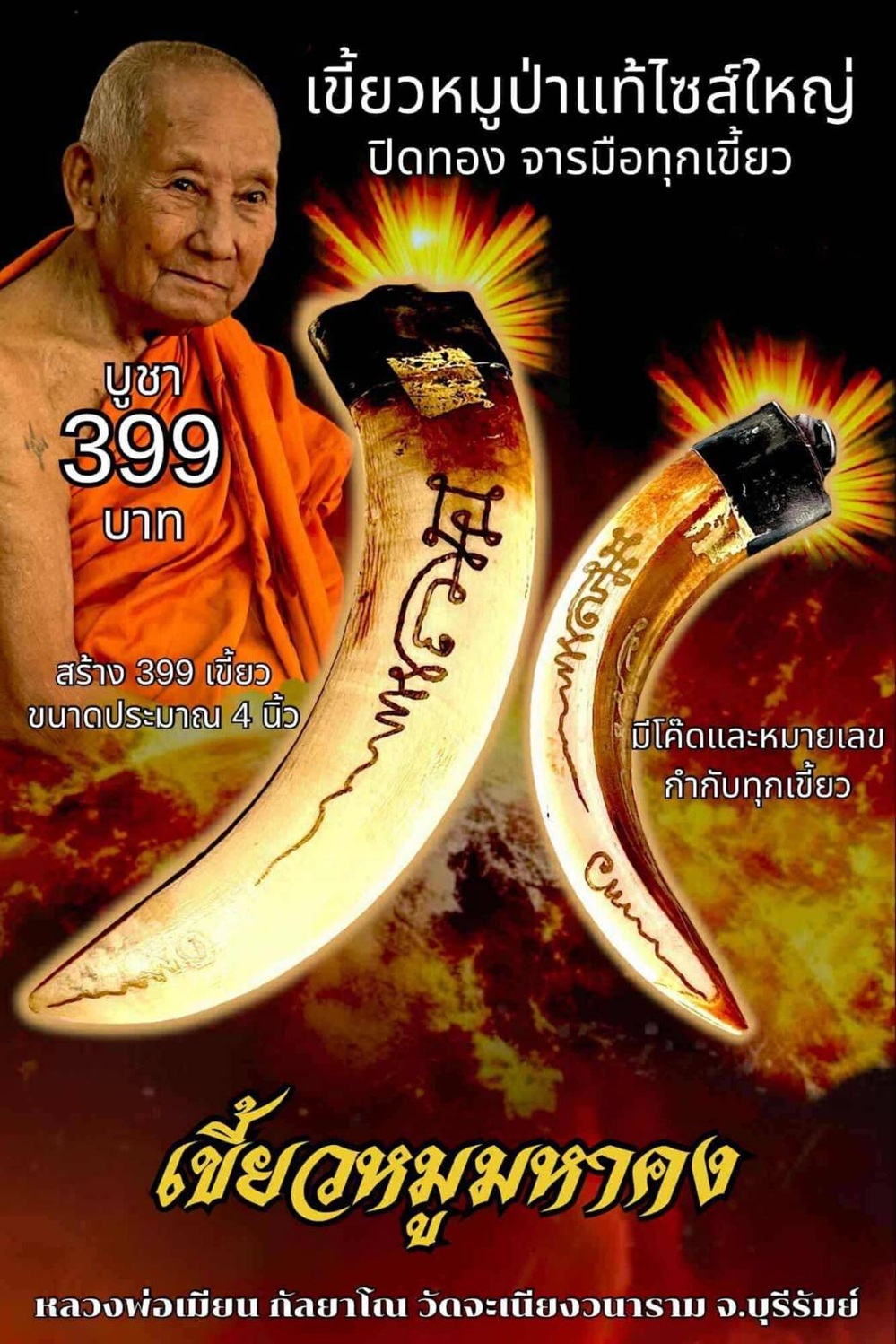 NKNR2505038
